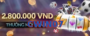 CWIN07