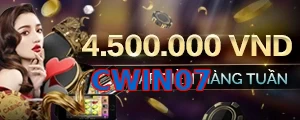 CWIN07