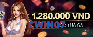 CWIN07