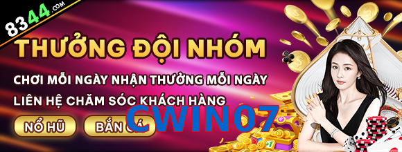 CWIN07