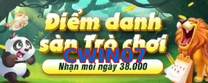 CWIN07