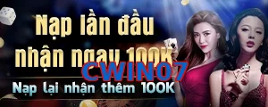 CWIN07